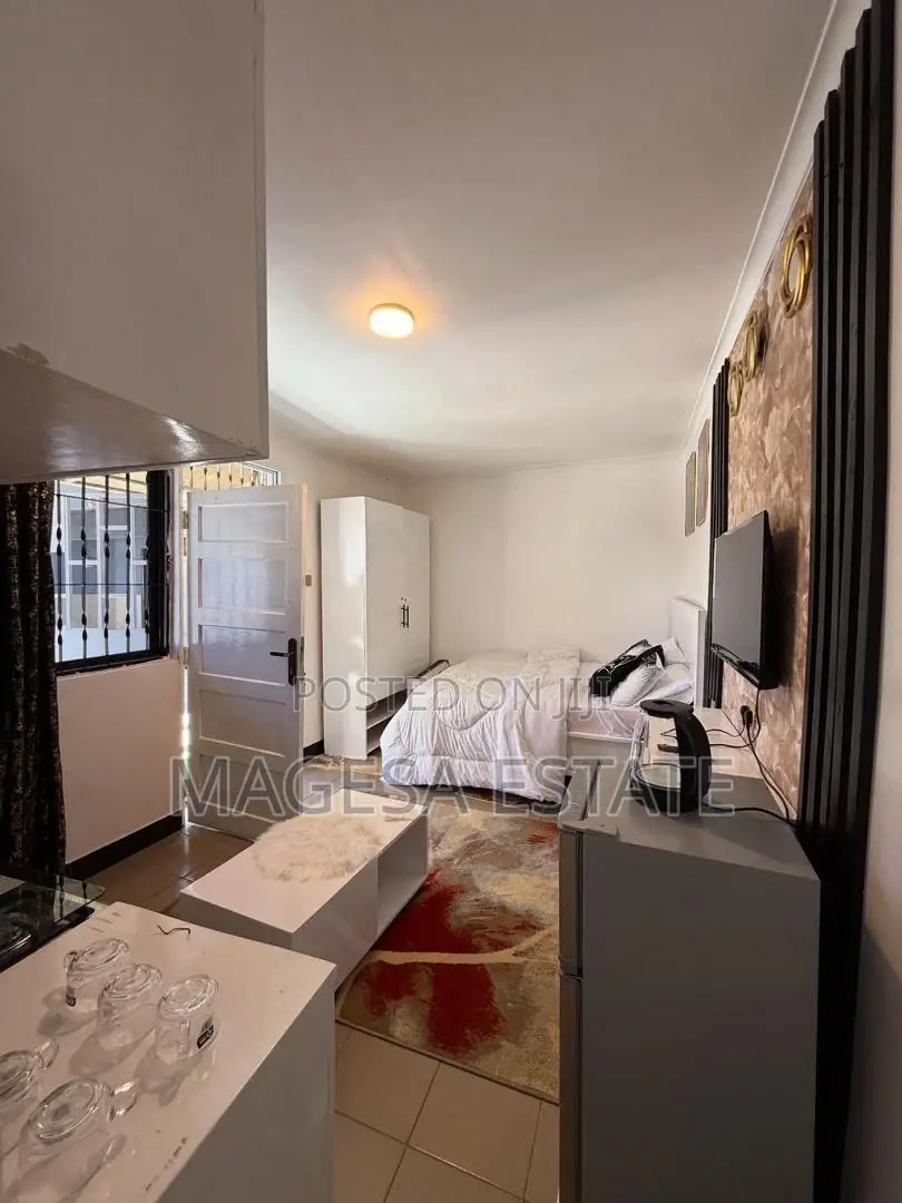 Furnished Studio Apartment in Magesa, Kinondoni for rent in Kinondoni