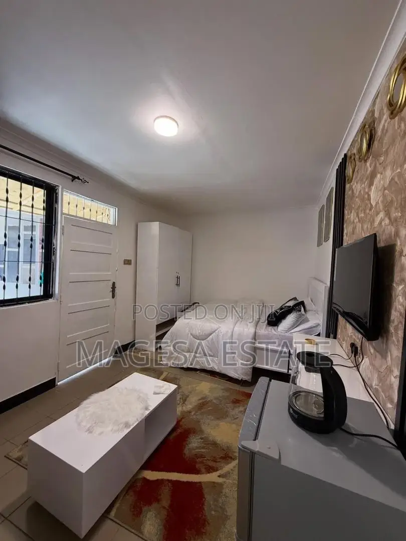 Furnished Studio Apartment in Magesa, Kinondoni for rent in Kinondoni