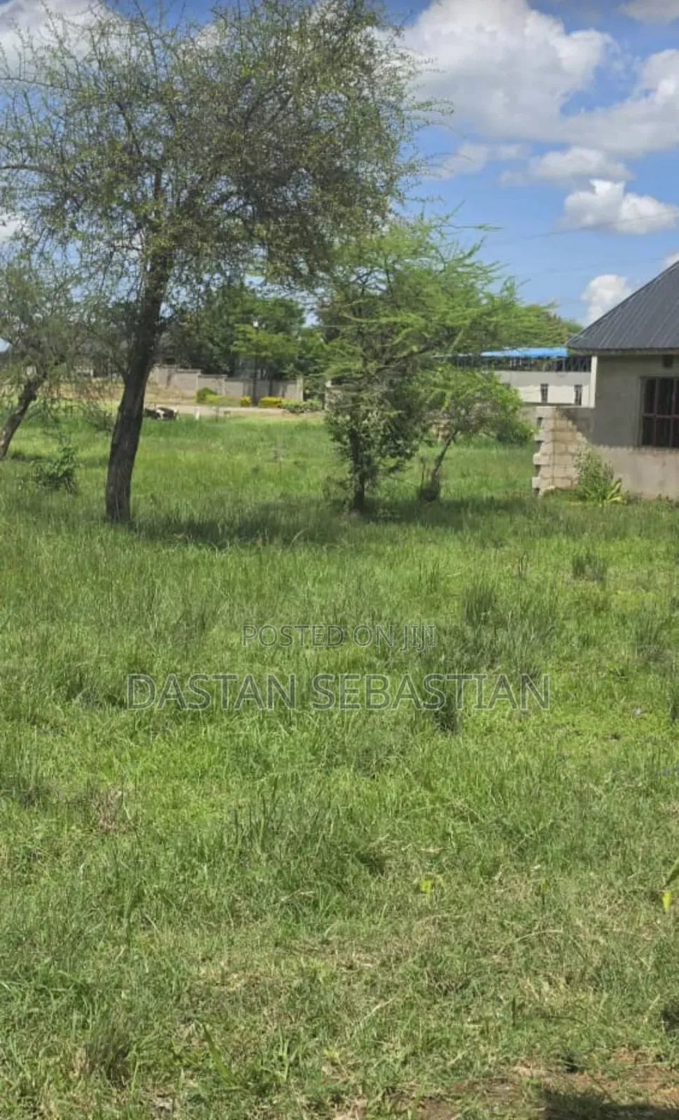 Arusha Kumenoga in Central Business Area