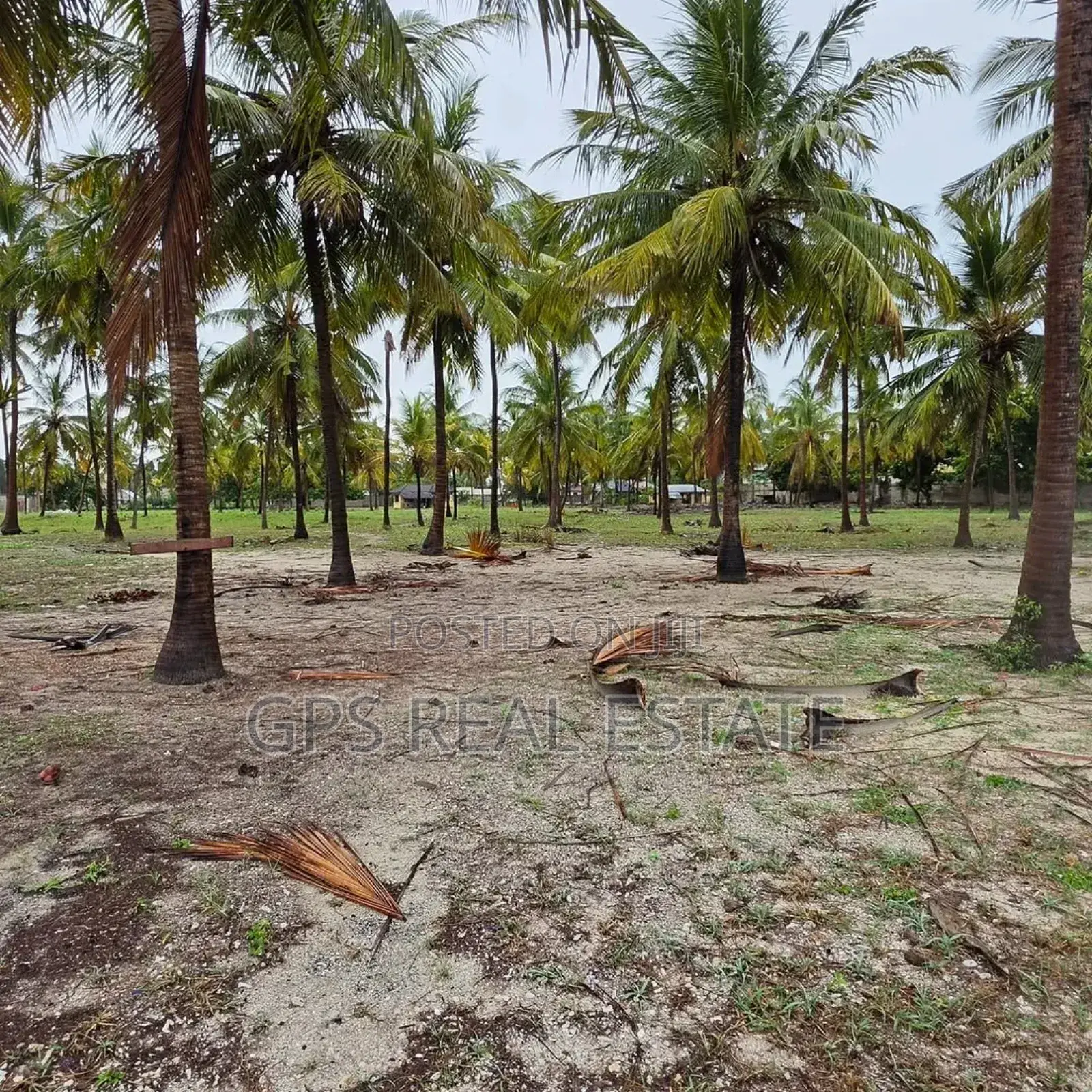 Beach Plot for Sale Maweni Kigamboni in Kigamboni