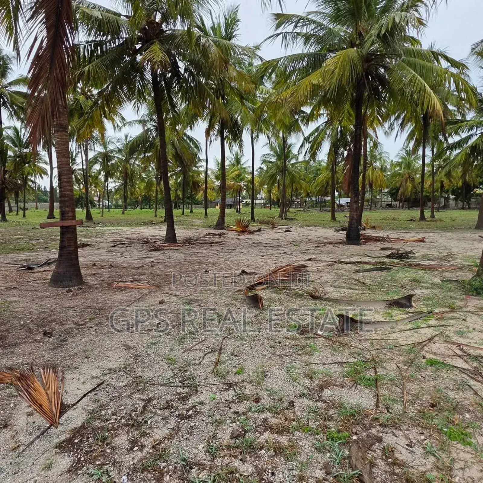 Beach Plot for Sale Maweni Kigamboni in Kigamboni