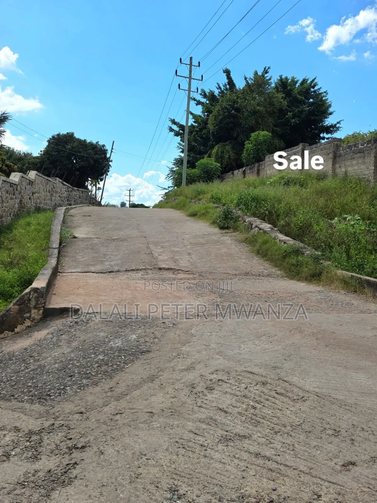 Bugando Area in Ilemela Ward