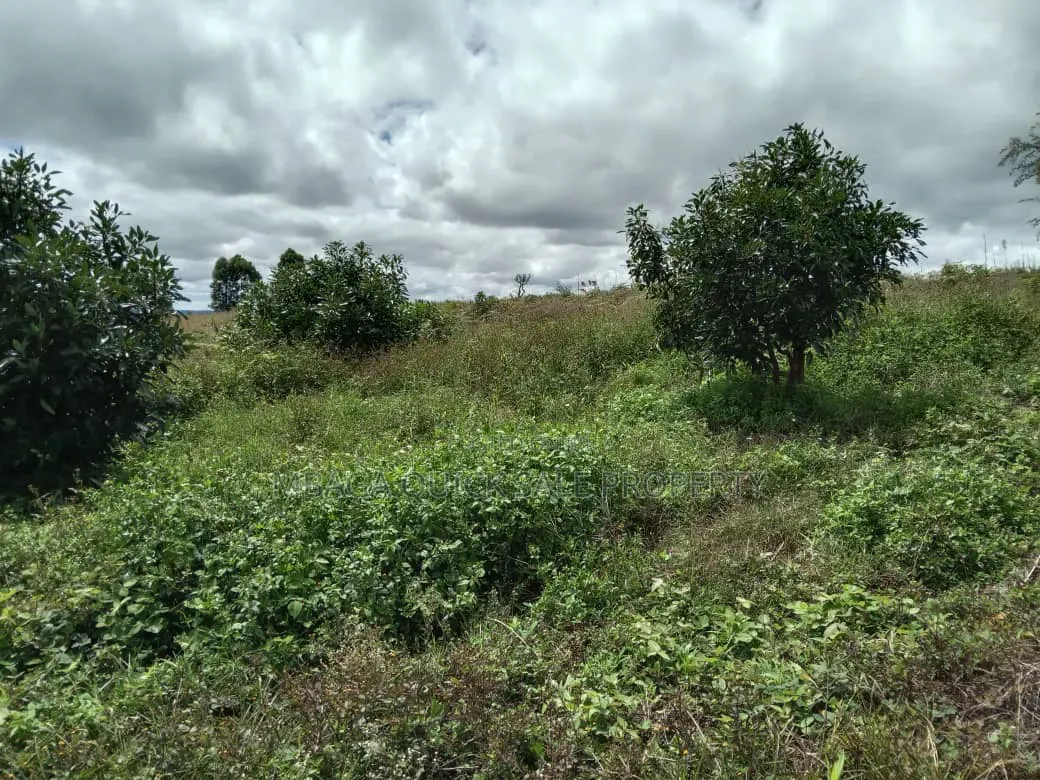 Avacado Farm for Sale at Njombe 100 Acres in Idamba