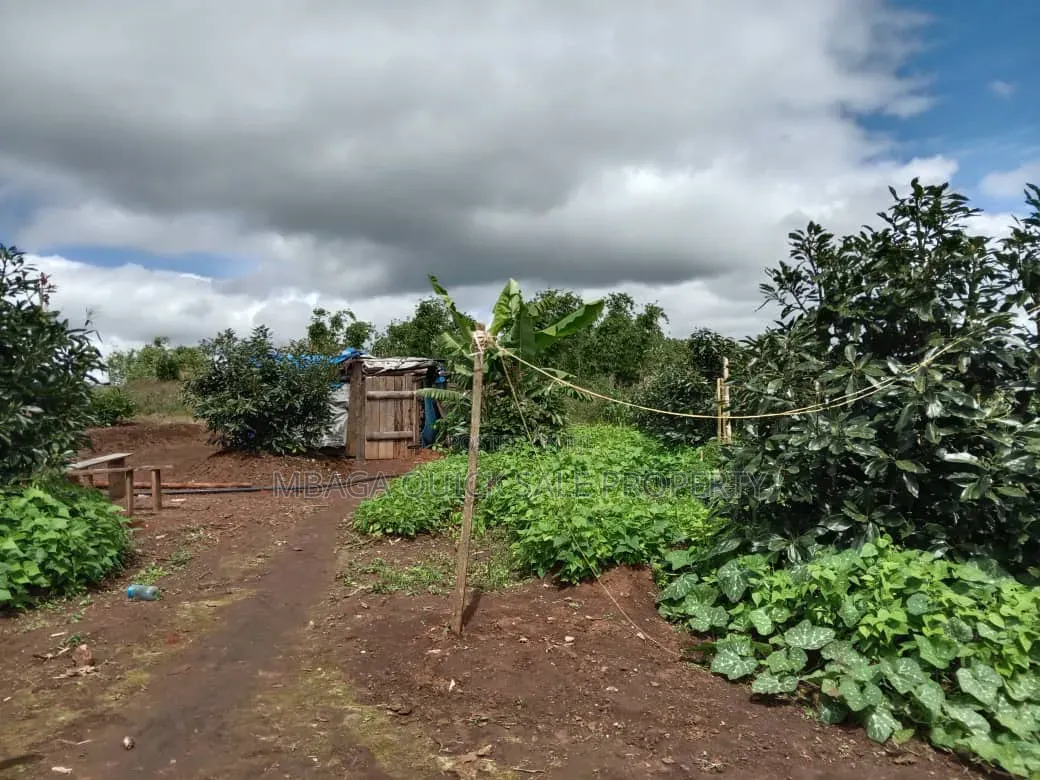 Avacado Farm for Sale at Njombe 100 Acres in Idamba