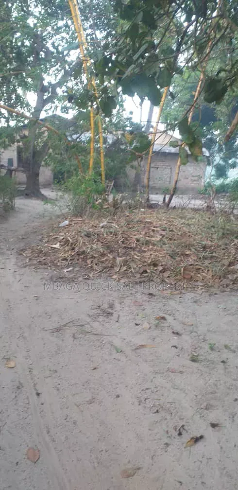 Farm for Sale at Mkuranga Mwanambaya 29 Acres in Bupu