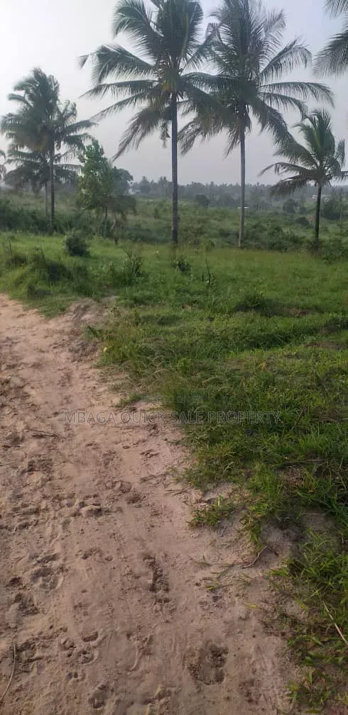 Farm for Sale at Mkuranga Mwanambaya 29 Acres in Bupu