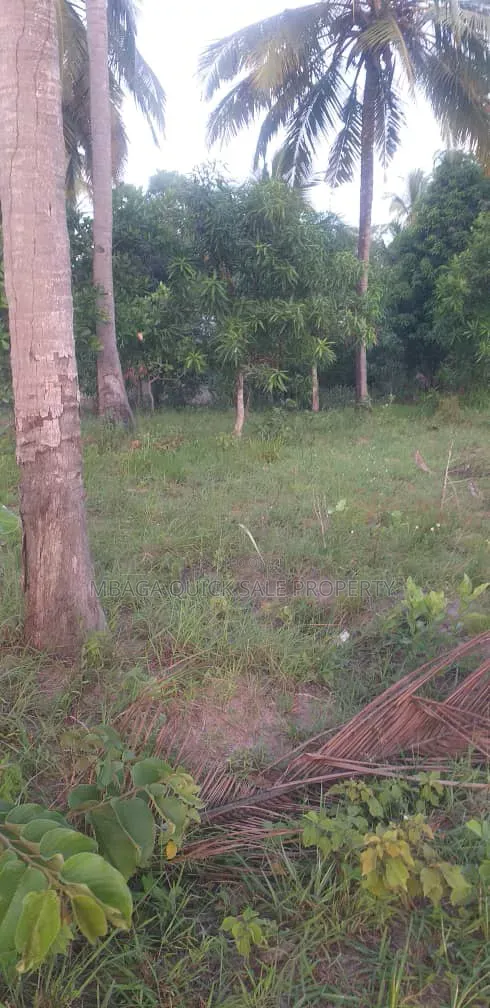 Farm for Sale at Mkuranga Mwanambaya 29 Acres in Bupu
