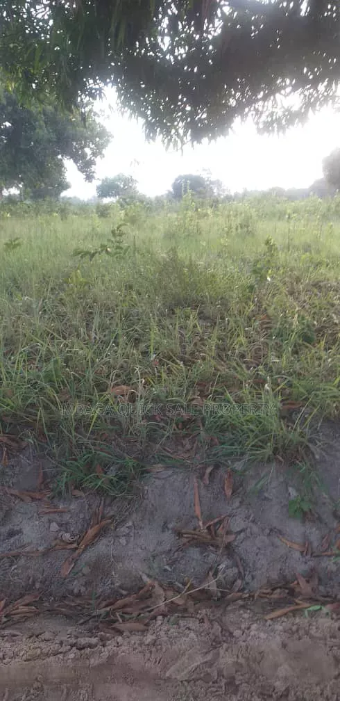 Farm for Sale at Mkuranga Mwanambaya 29 Acres in Bupu