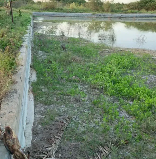 Farm With 325 Acres Including Godowns, Fish Pond for Sale at Mkuranga in Kisiju