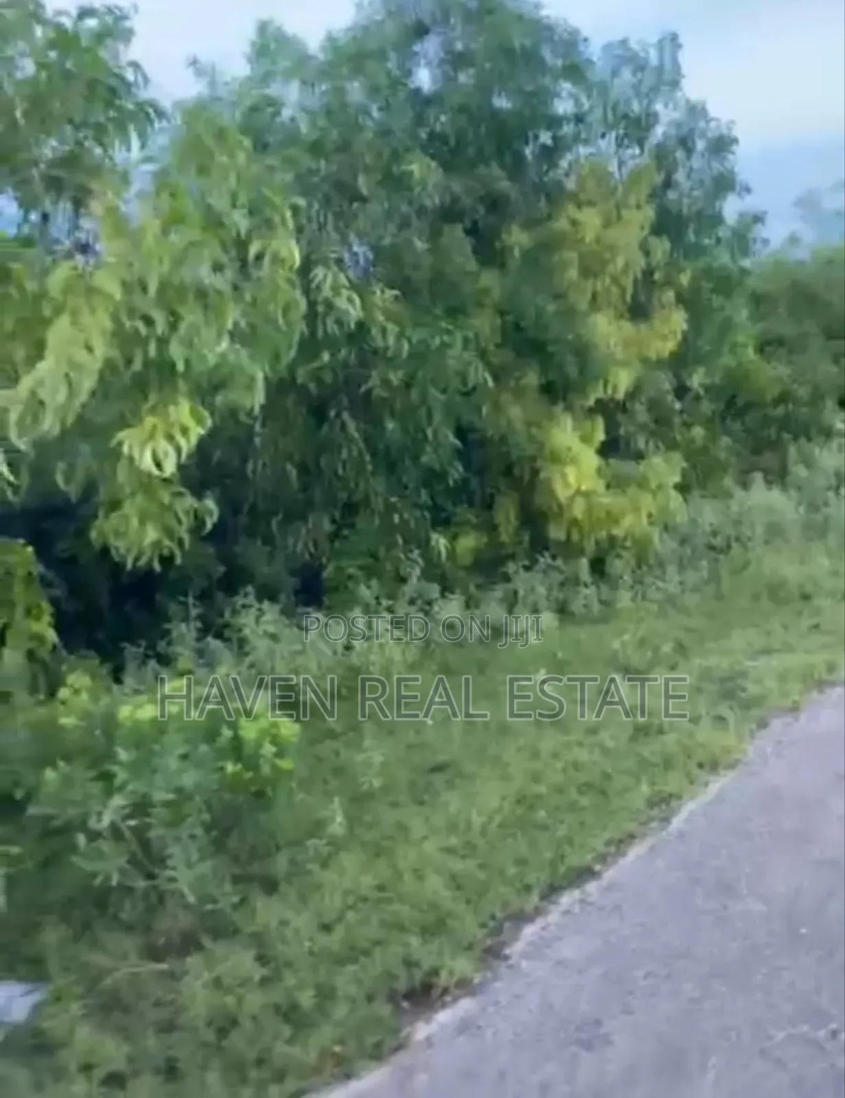 Plot for Sale at Makunduchi Zanzibar in Kati