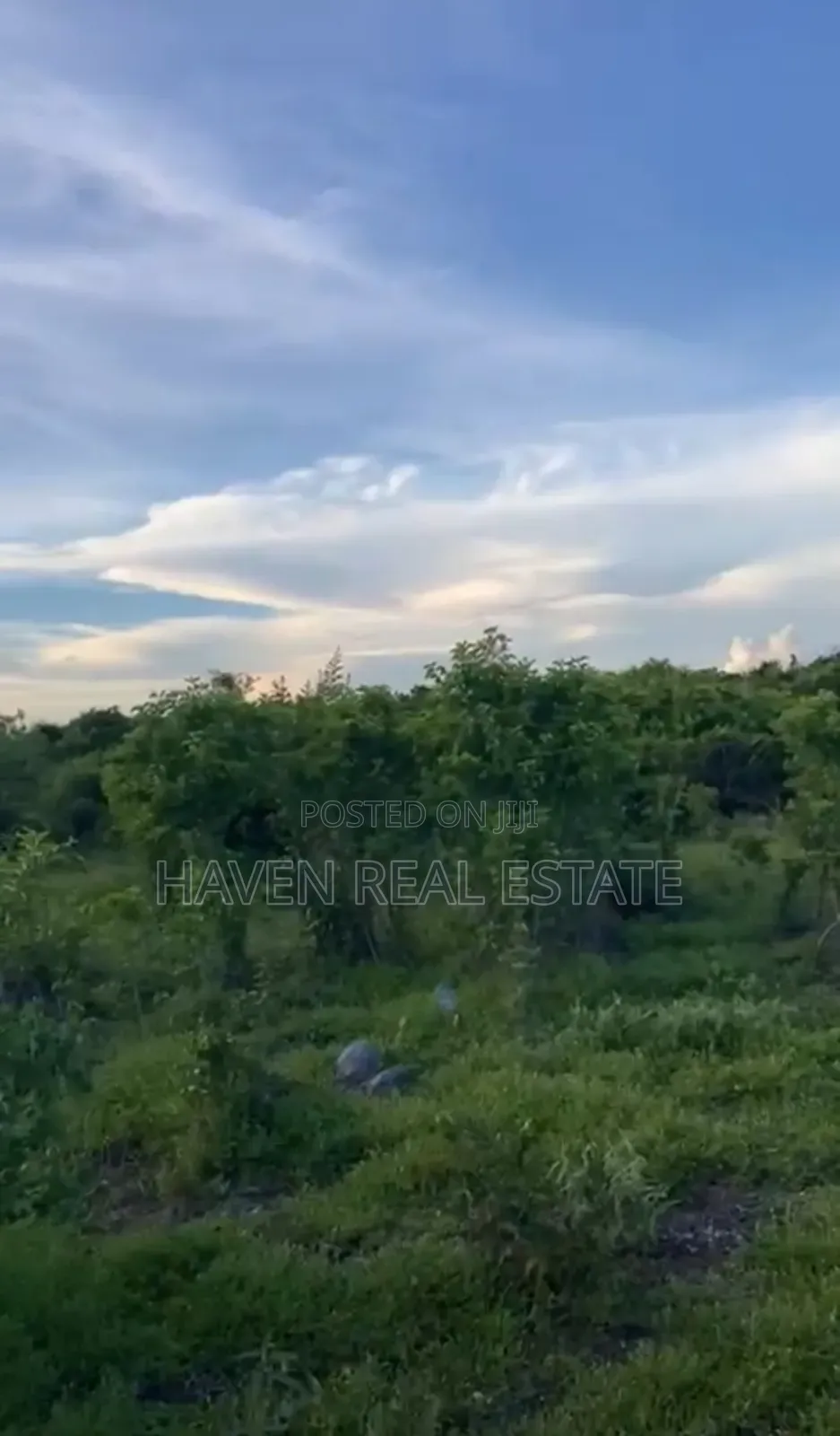 Plot for Sale at Jambiani Zanzibar in Kaskazini A