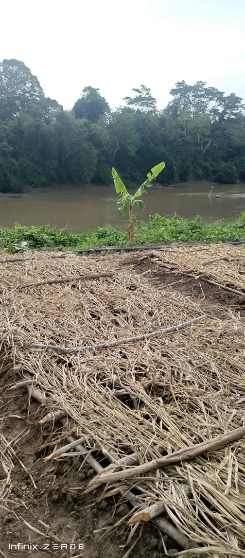 Farm for Sale at Kiwaangwa Bagamoyo in Kiwangwa