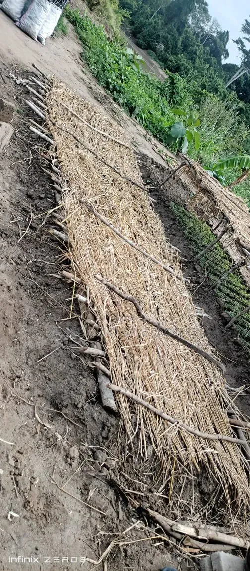 Farm for Sale at Kiwaangwa Bagamoyo in Kiwangwa