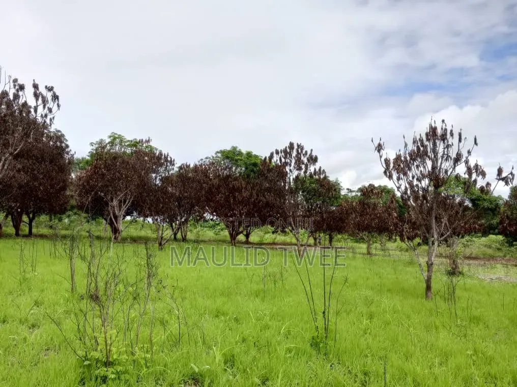Eneo Linauzwa Mkuranga in Kinondoni
