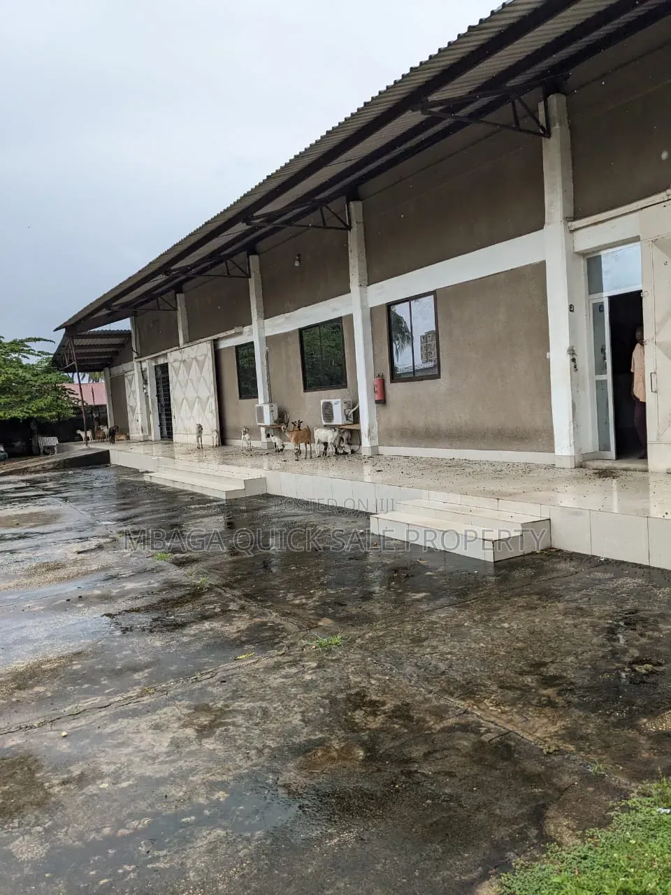 Godown and Office Area SQM 750 for Rent Usd 5 Per SQM Located at Sinza in Sinza