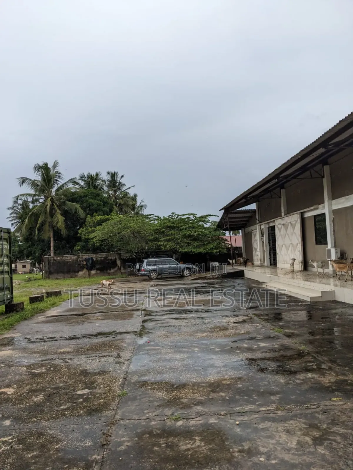 Warehouse Office for Rent Sinza DSM in Sinza
