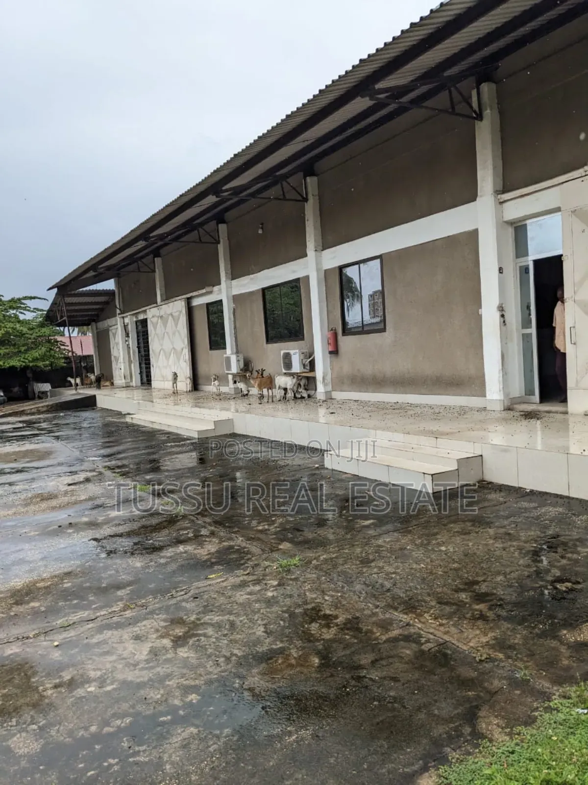 Warehouse Office for Rent Sinza DSM in Sinza