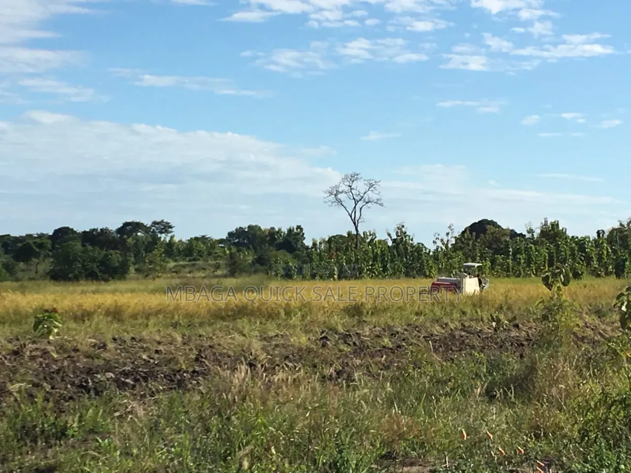 Farm With 374.7 Acres for Sale at Ifakara Mikumi in Ifakara