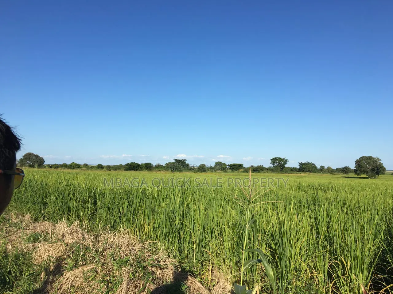 Farm With 374.7 Acres for Sale at Ifakara Mikumi in Ifakara