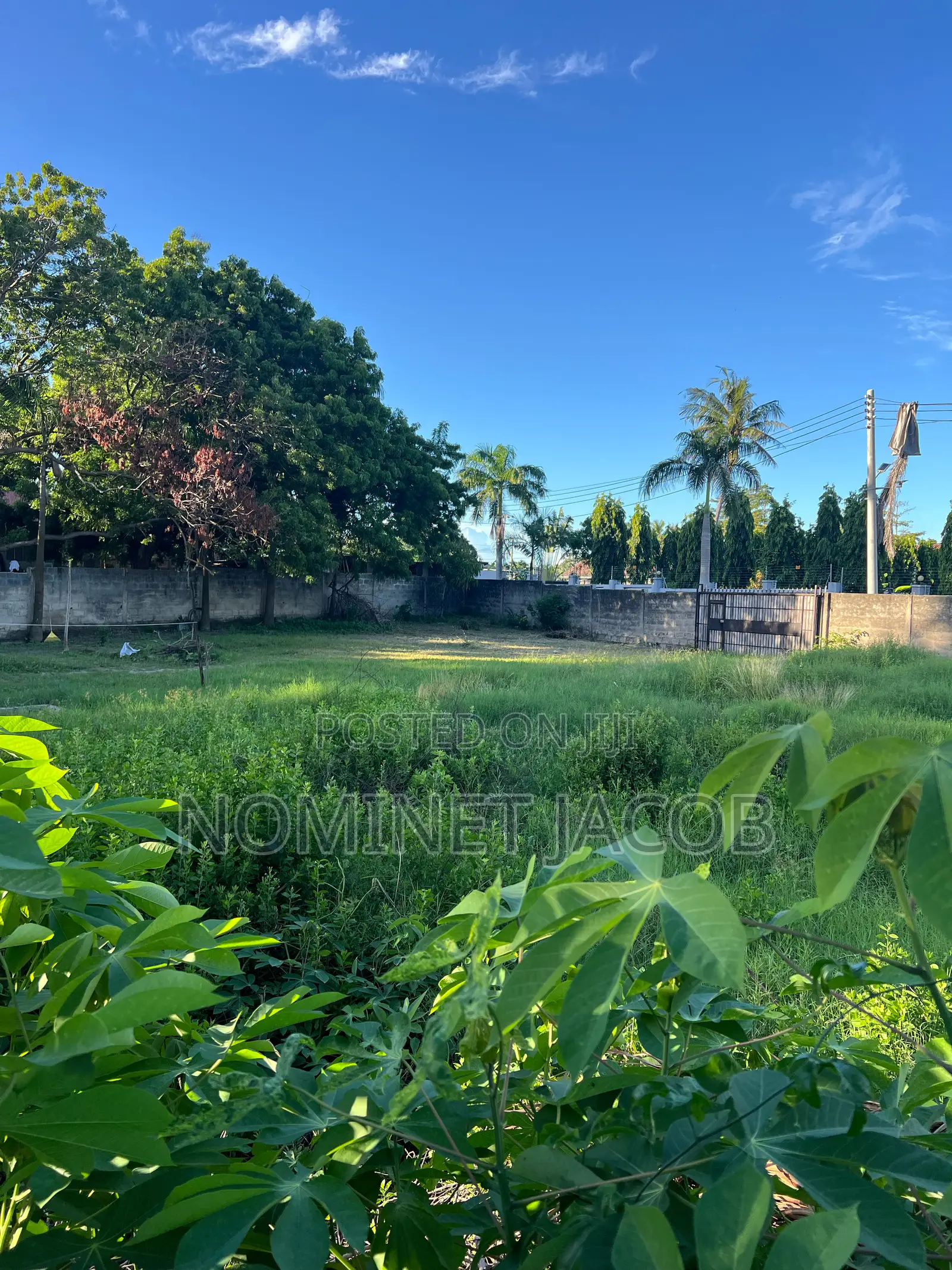 Plot for Sale CQMT 1000 Bei Million 450,000,000 in Kunduchi