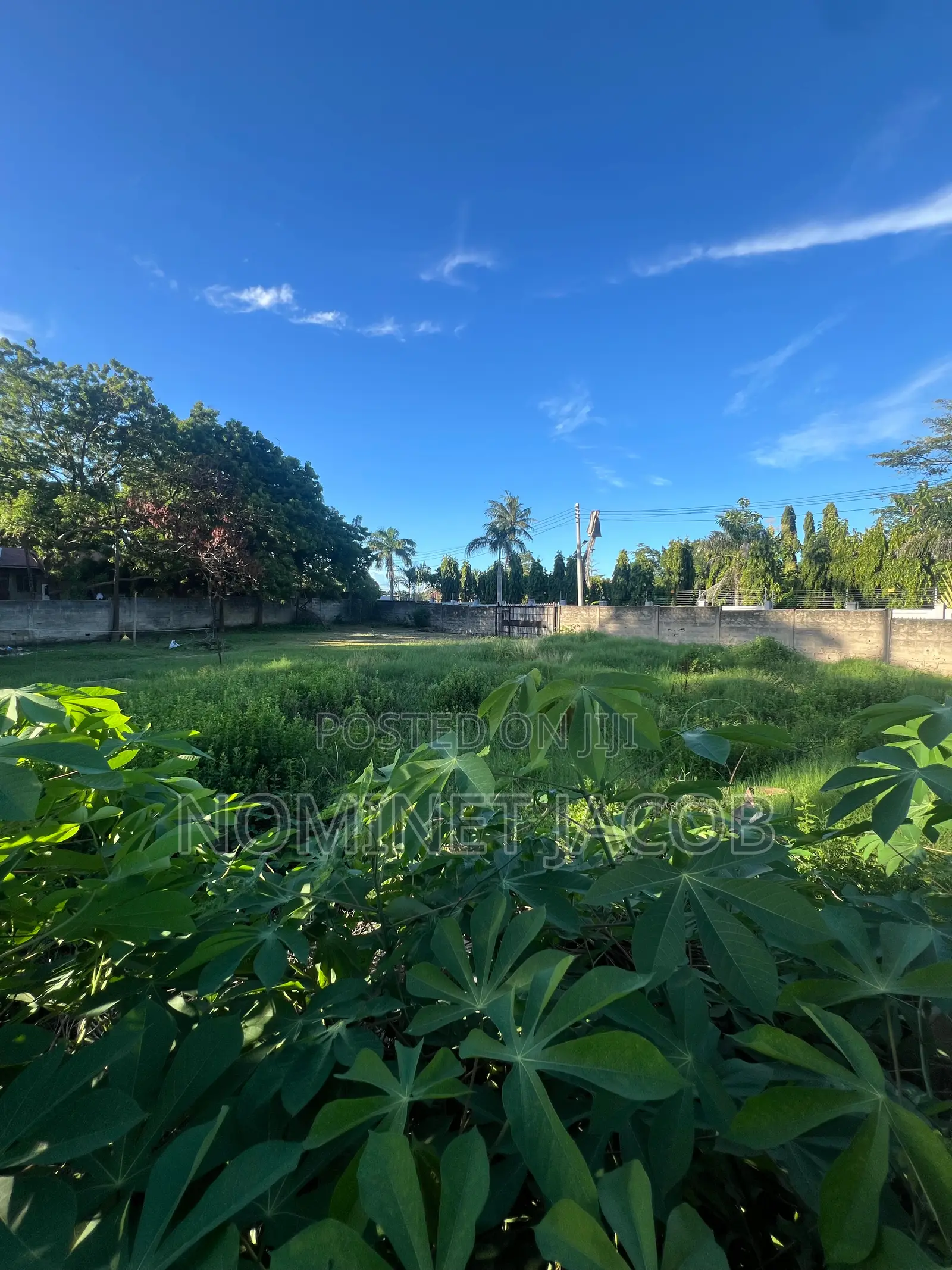 Plot for Sale CQMT 1000 Bei Million 450,000,000 in Kunduchi