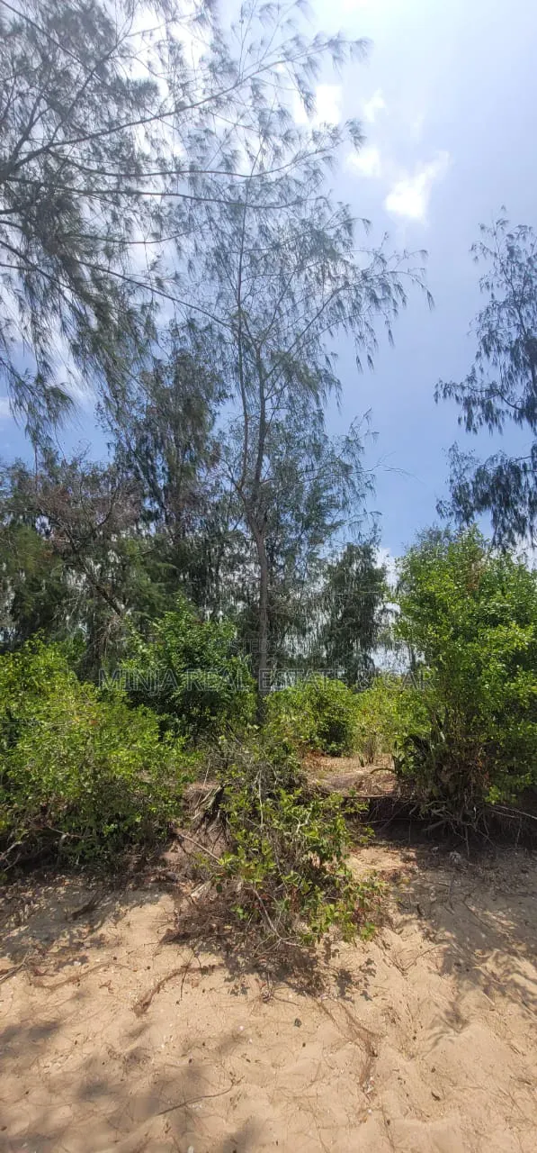 Beach Plot for Sale in Fukuchani Zanzibar in Kaskazini A