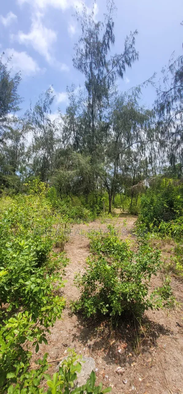 Beach Plot for Sale in Fukuchani Zanzibar in Kaskazini A
