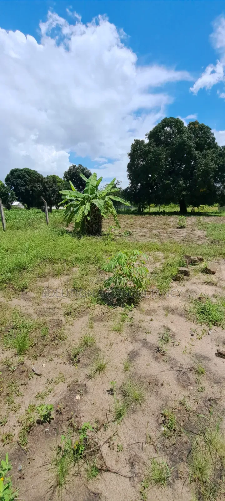 Eneo Linauzwa Kerege Amani - Bagamoyo in Kiromo