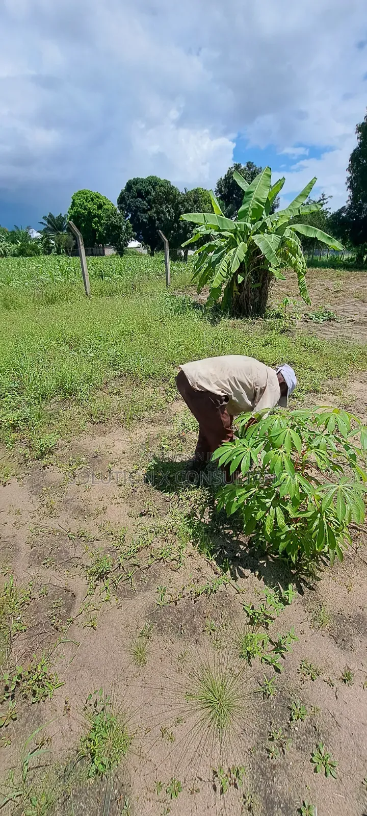 Eneo Linauzwa Kerege Amani - Bagamoyo in Kiromo