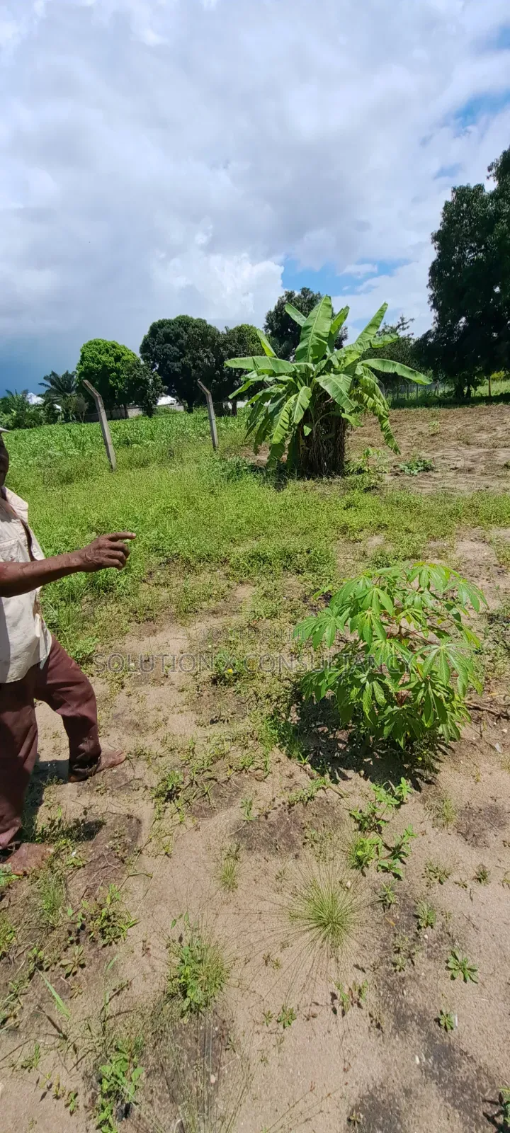 Eneo Linauzwa Kerege Amani - Bagamoyo in Kiromo