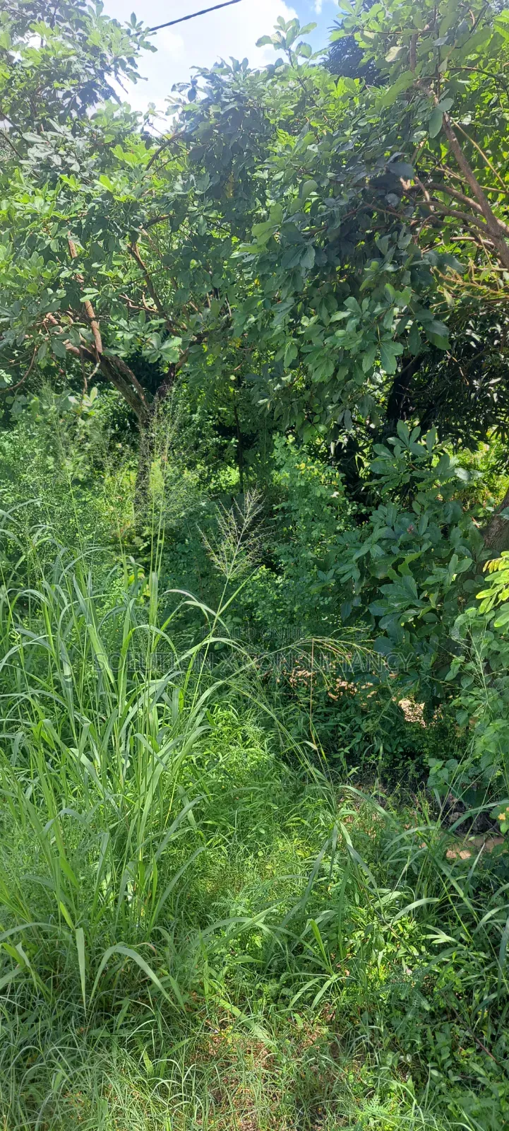 Kiwanja Kinauzwa Kerege Amani Bagamoyo in Kiromo