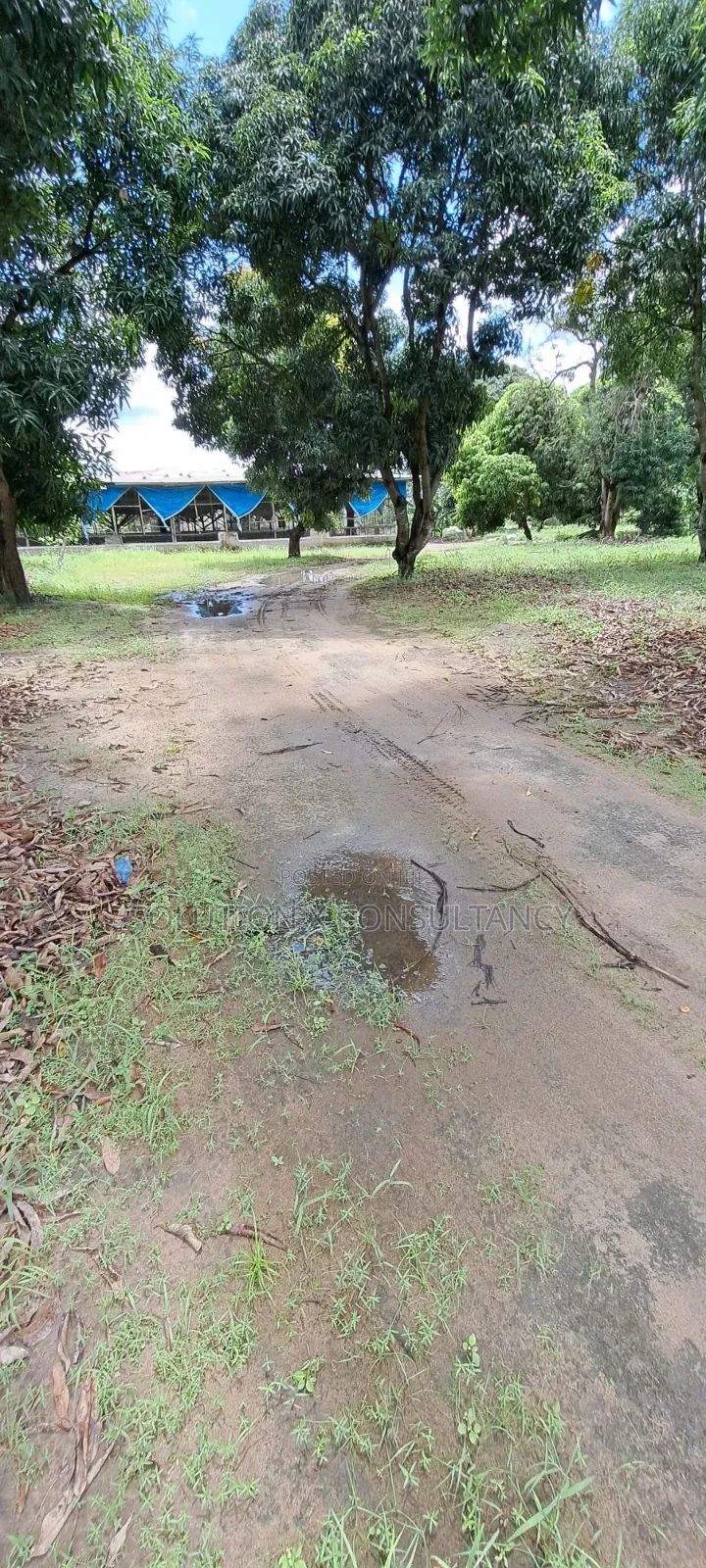 Eneo Linauzwa Kerege Amani Namba Nne in Kiromo