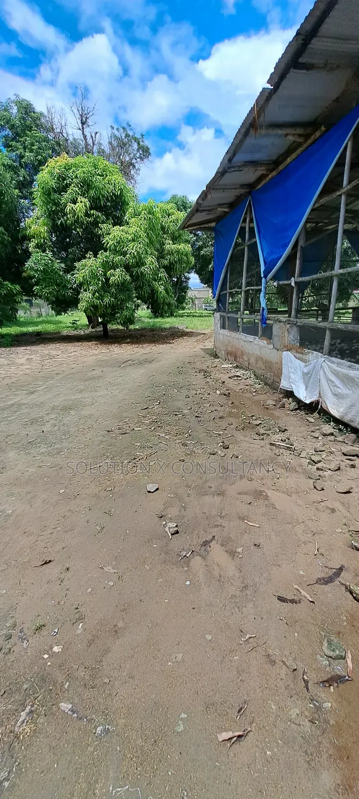 Eneo Linauzwa Kerege Amani Namba Nne in Kiromo