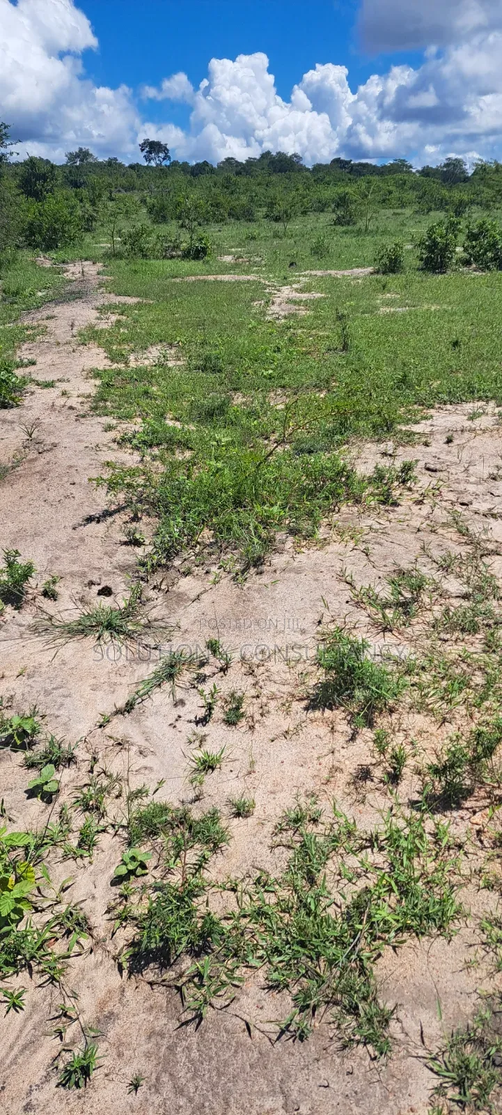 Shamba Linauzwa Mwavi - Bagamoyo in Mwavi