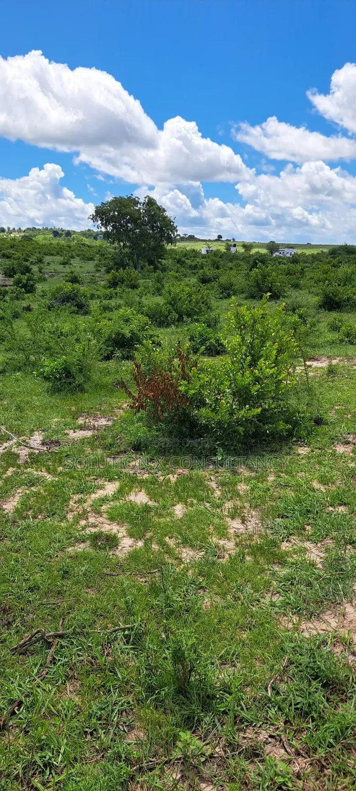 Shamba Linauzwa Mwavi - Bagamoyo in Mwavi