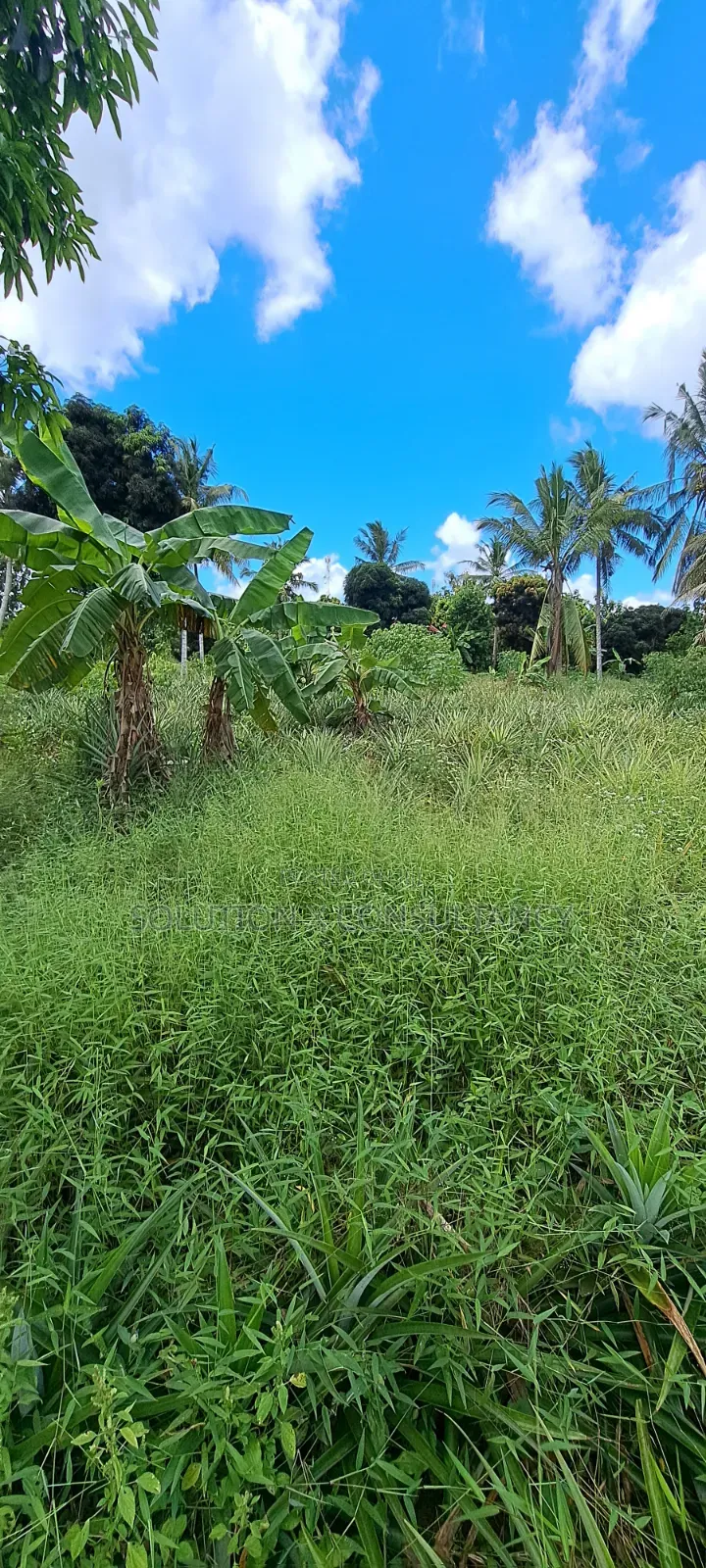 Shamba Lenye Mazao Na Nyumba Ya Kuishi Linauzwa in Bago