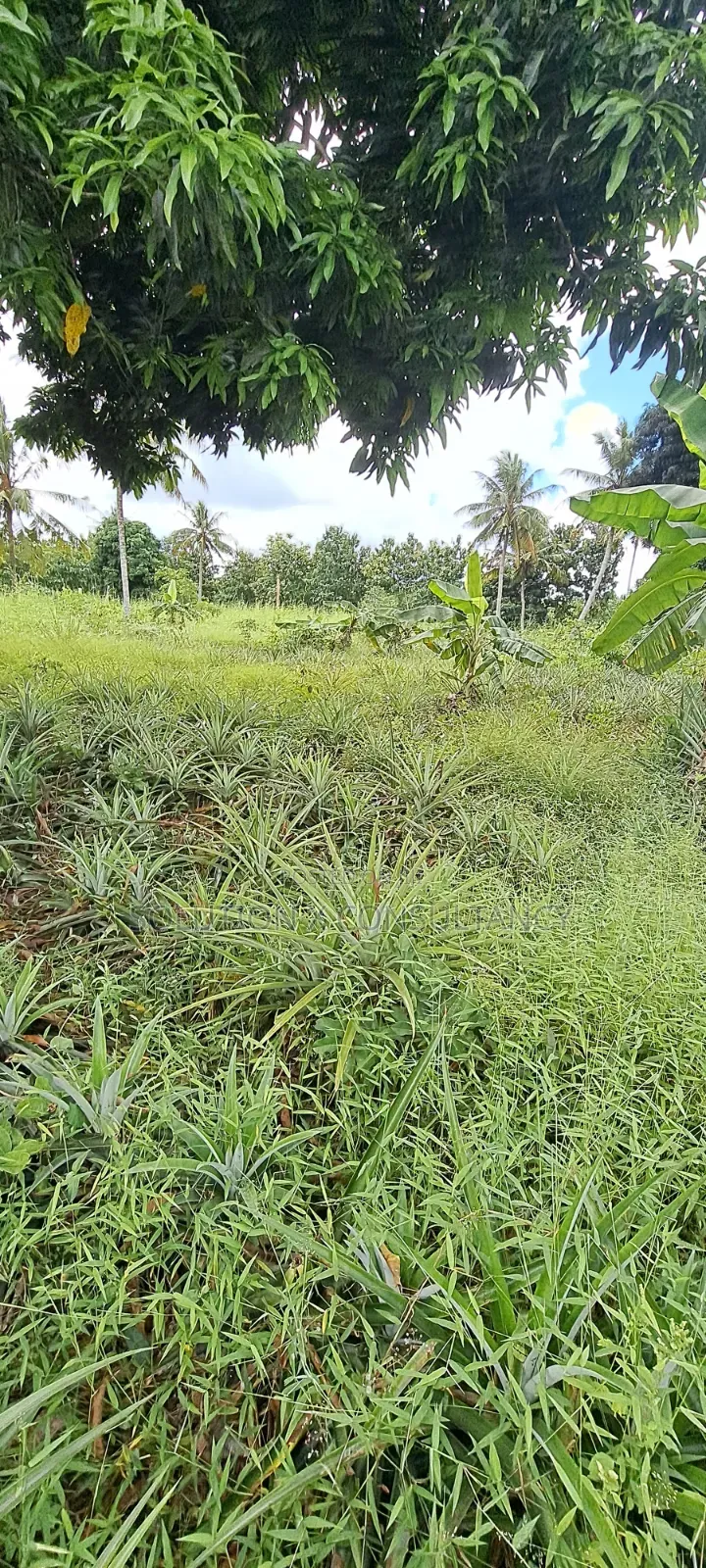 Shamba Lenye Mazao Na Nyumba Ya Kuishi Linauzwa in Bago