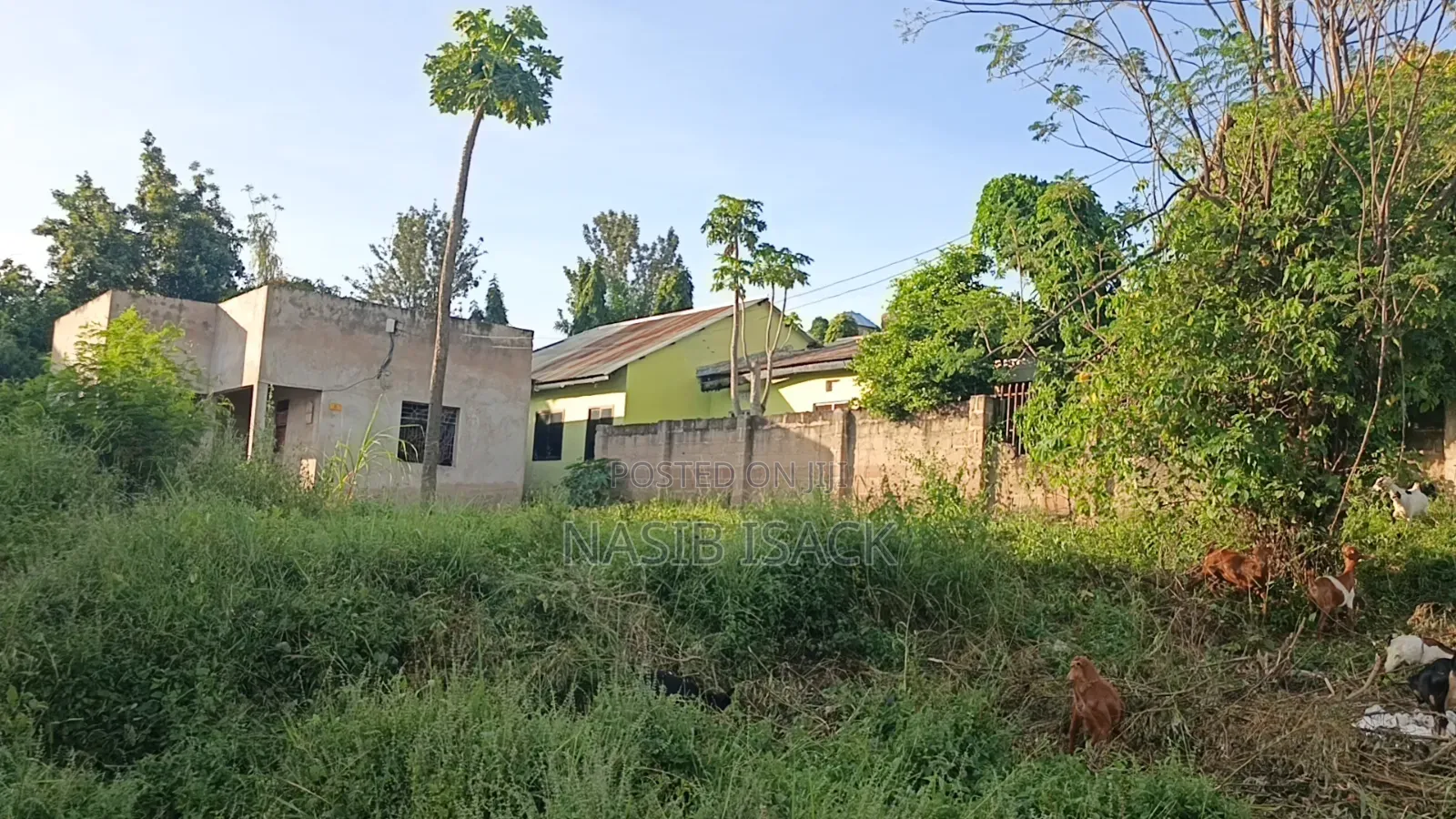 Furnished 9bdrm House in Mkolani for sale in Mkolani