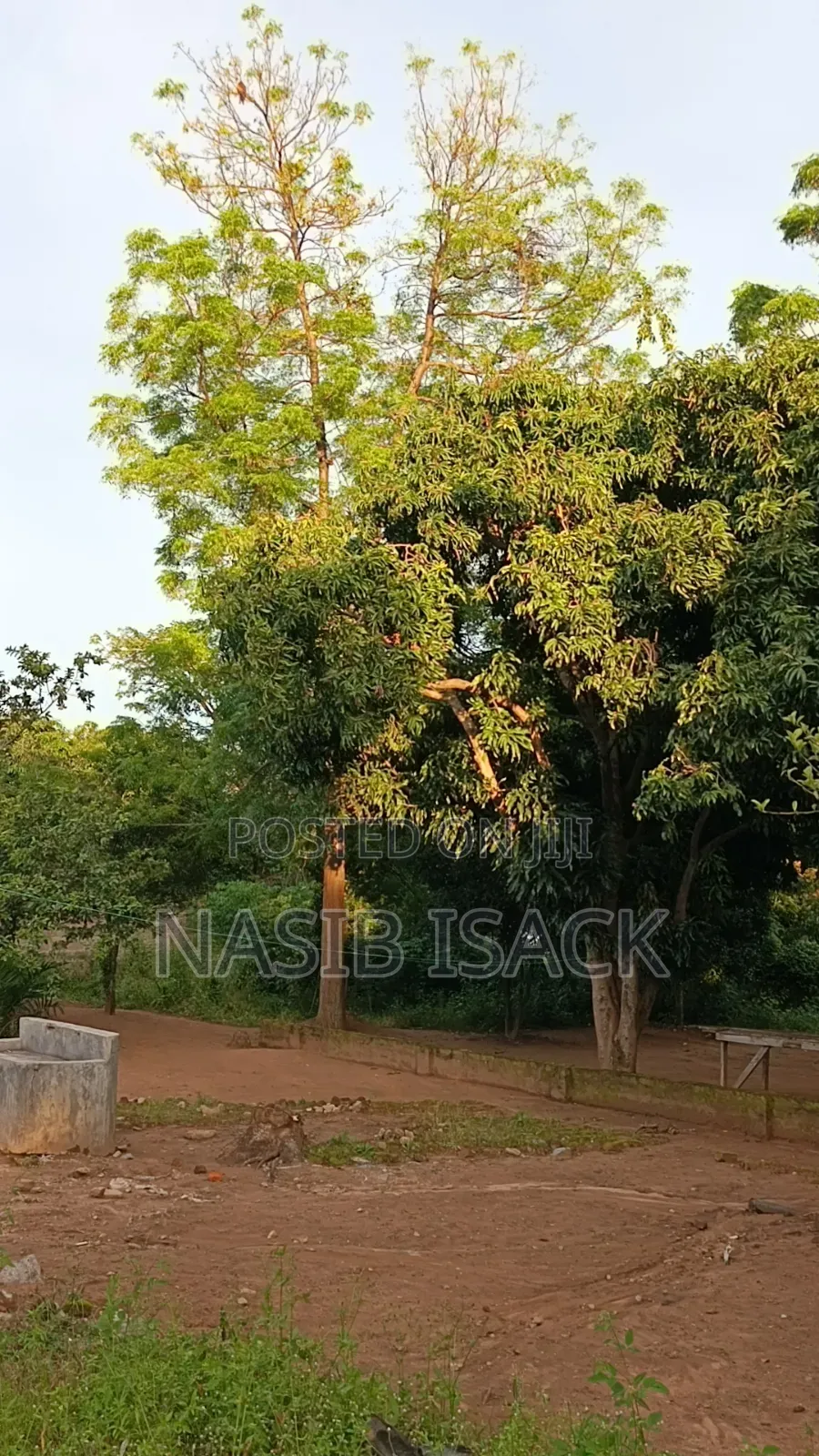 Plot for Sale Mwanza Airport in Ilemela Ward