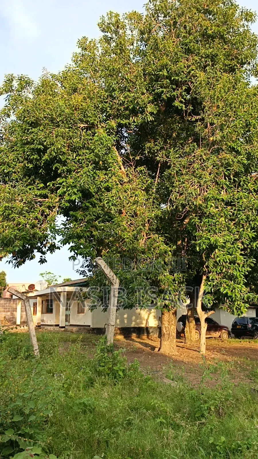 Plot for Sale Mwanza Airport in Ilemela Ward