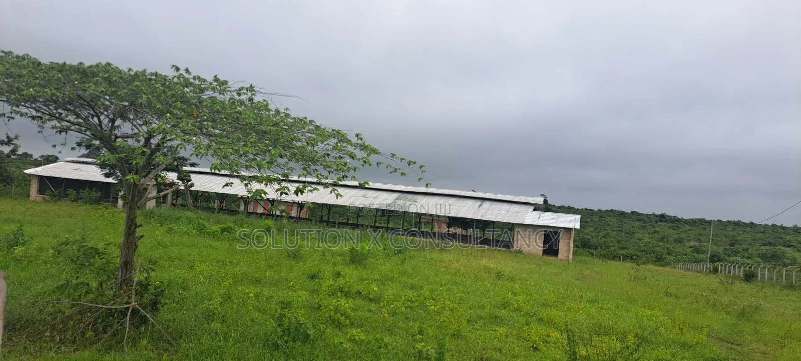Shamba La Kuku (Poultry Farm) Linauzwa Mwavi in Mwavi