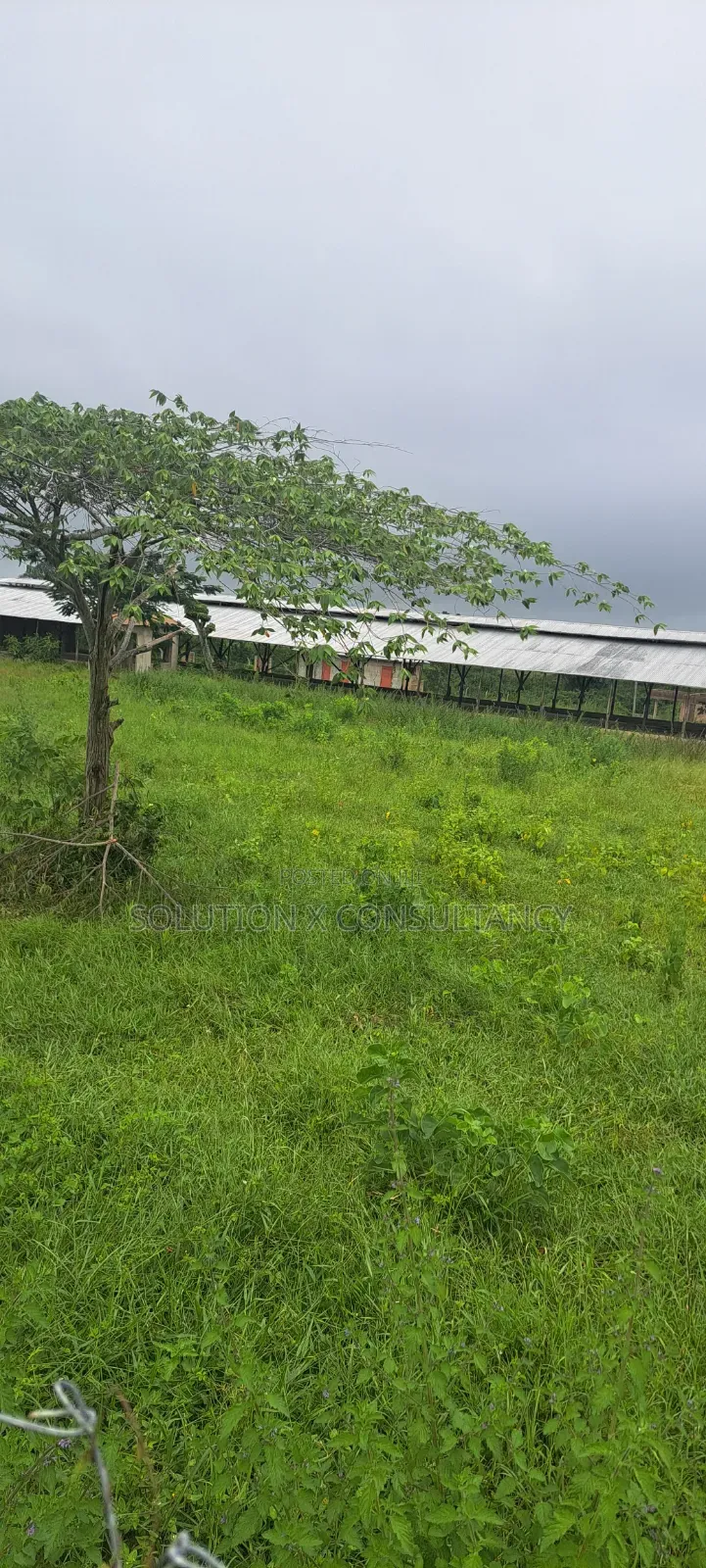 Shamba La Kuku (Poultry Farm) Linauzwa Mwavi in Mwavi