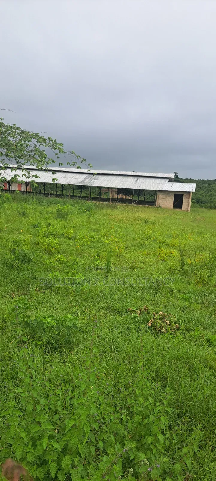 Shamba La Kuku (Poultry Farm) Linauzwa Mwavi in Mwavi