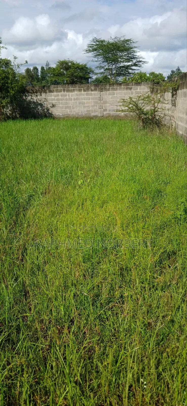 Plot for Sale in Njiro-Arusha,The United Republic of Tanzania in Njiro