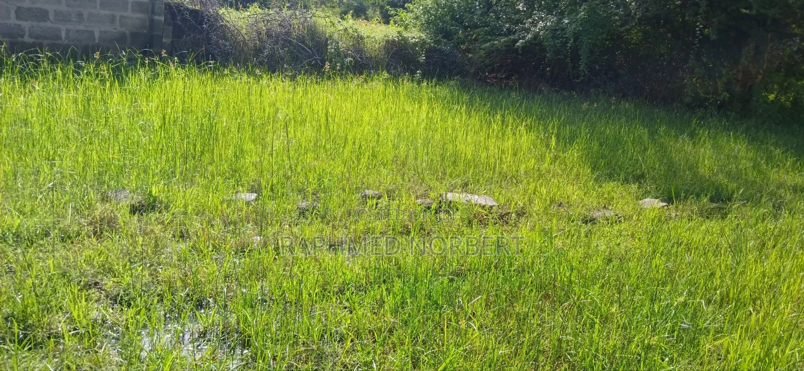 Plot for Sale in Njiro-Arusha,The United Republic of Tanzania in Njiro
