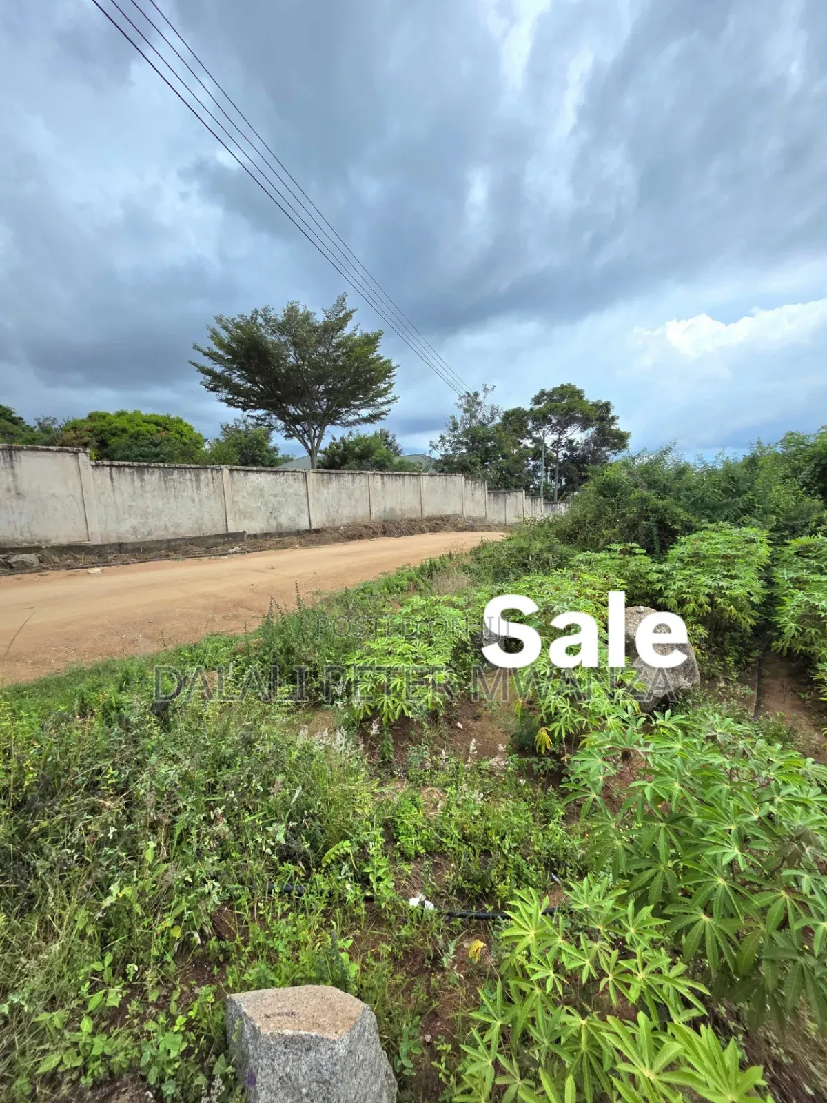 Ibanda Mwanza in Ilemela Ward