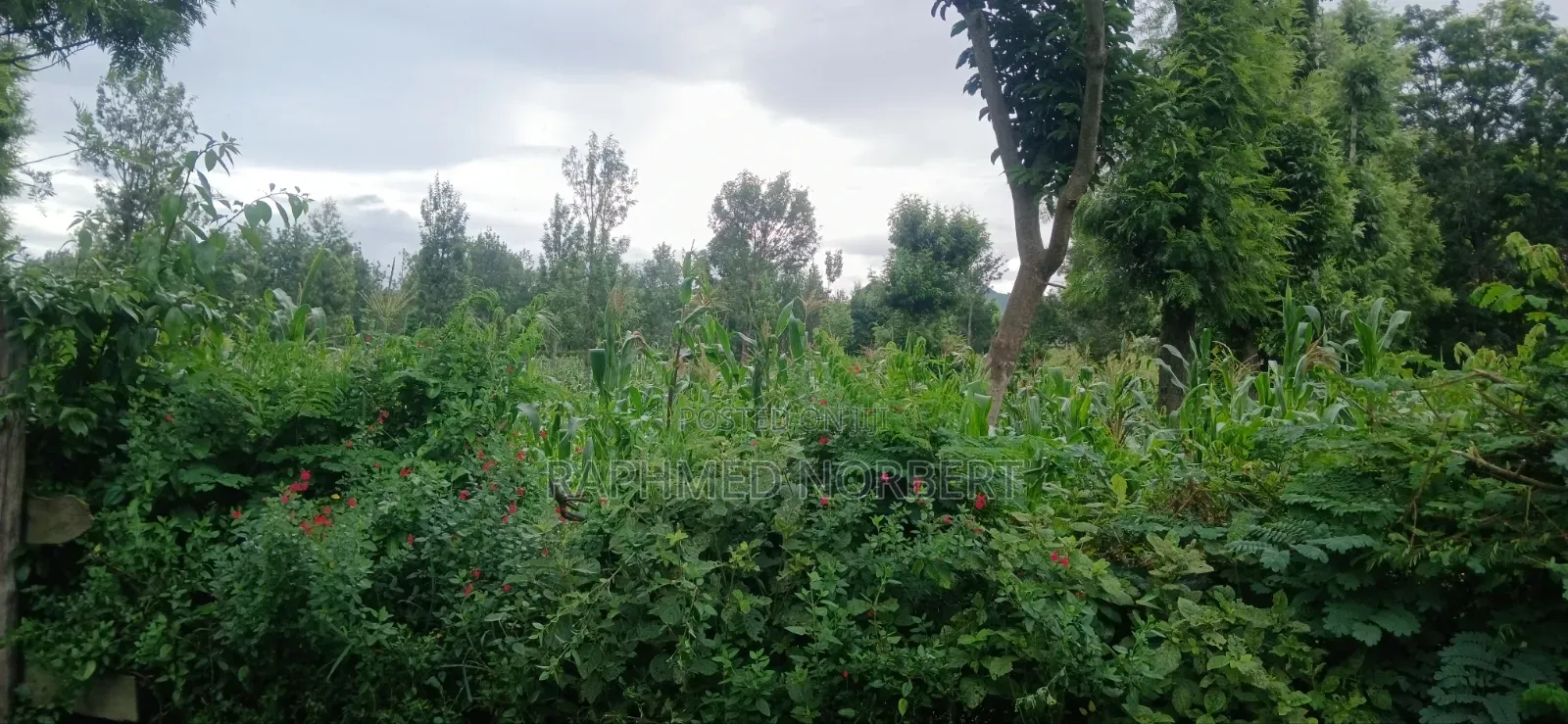 Plot for Sale at Ngaramton- Kilimamoto Area,Arusha-Tanzania in Central Business Area