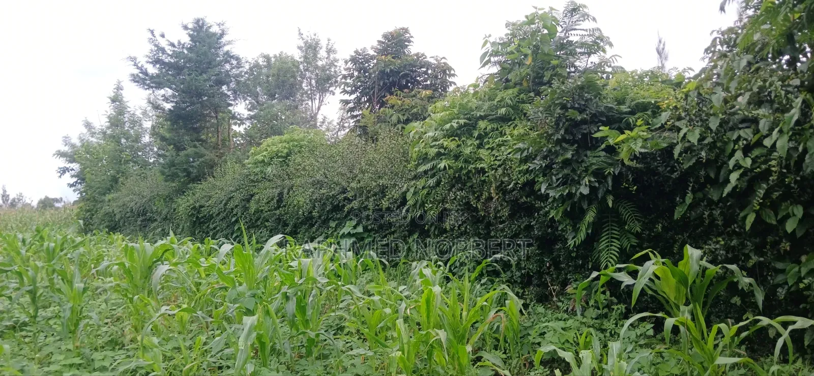 Plot for Sale at Ngaramton- Kilimamoto Area,Arusha-Tanzania in Central Business Area