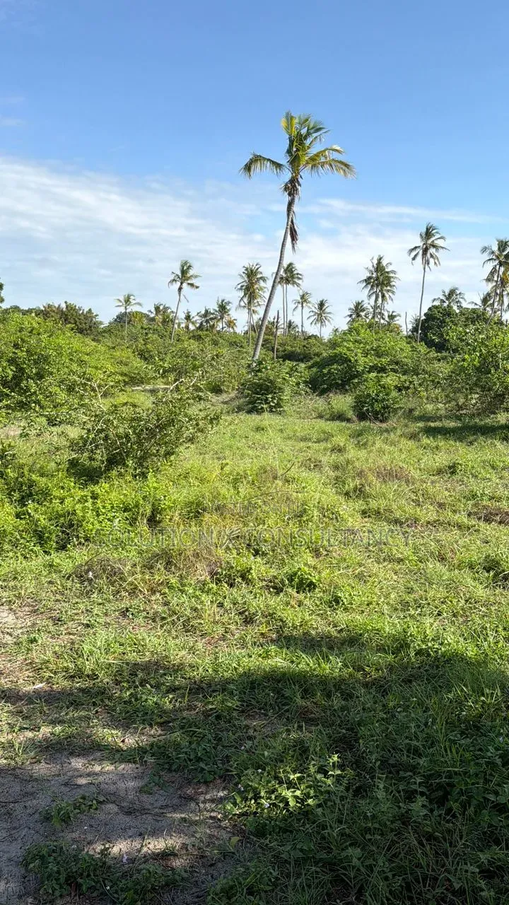 Land for Sale at Bagamoyo Town in Kiromo