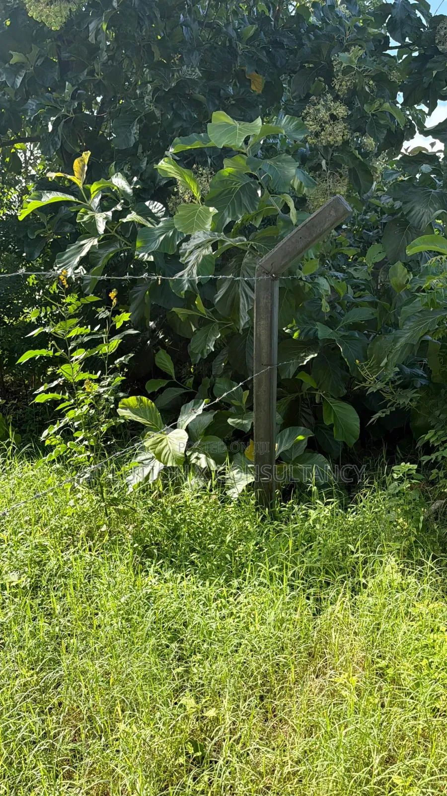 10 Acres Beach Plot for Sale at Bagamoyo in Kiromo
